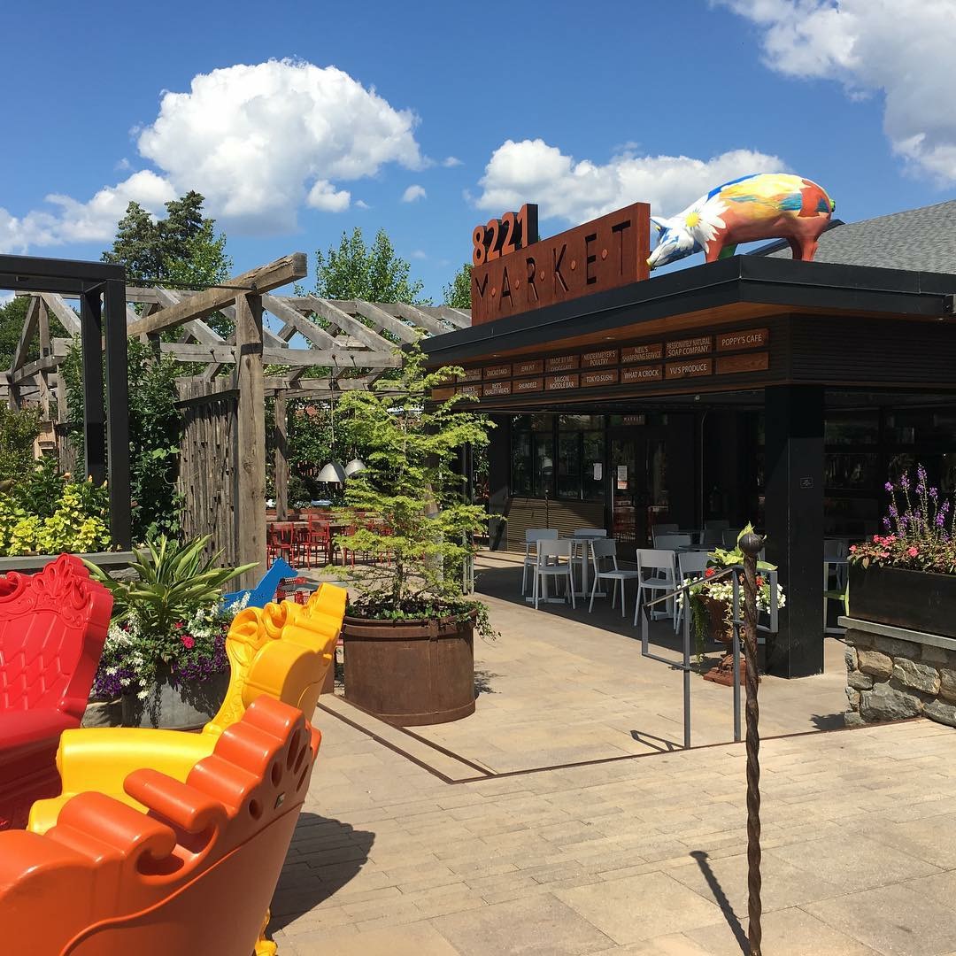 Coffee shops in Chestnut Hill