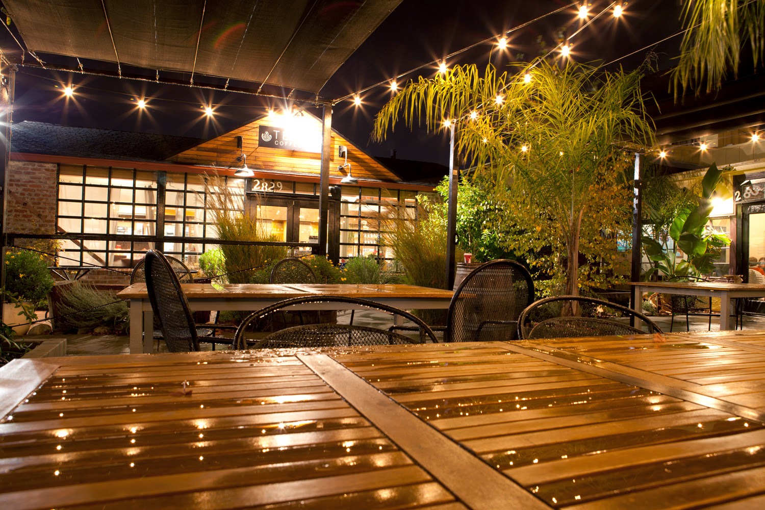 Coffee shops in Newton Booth