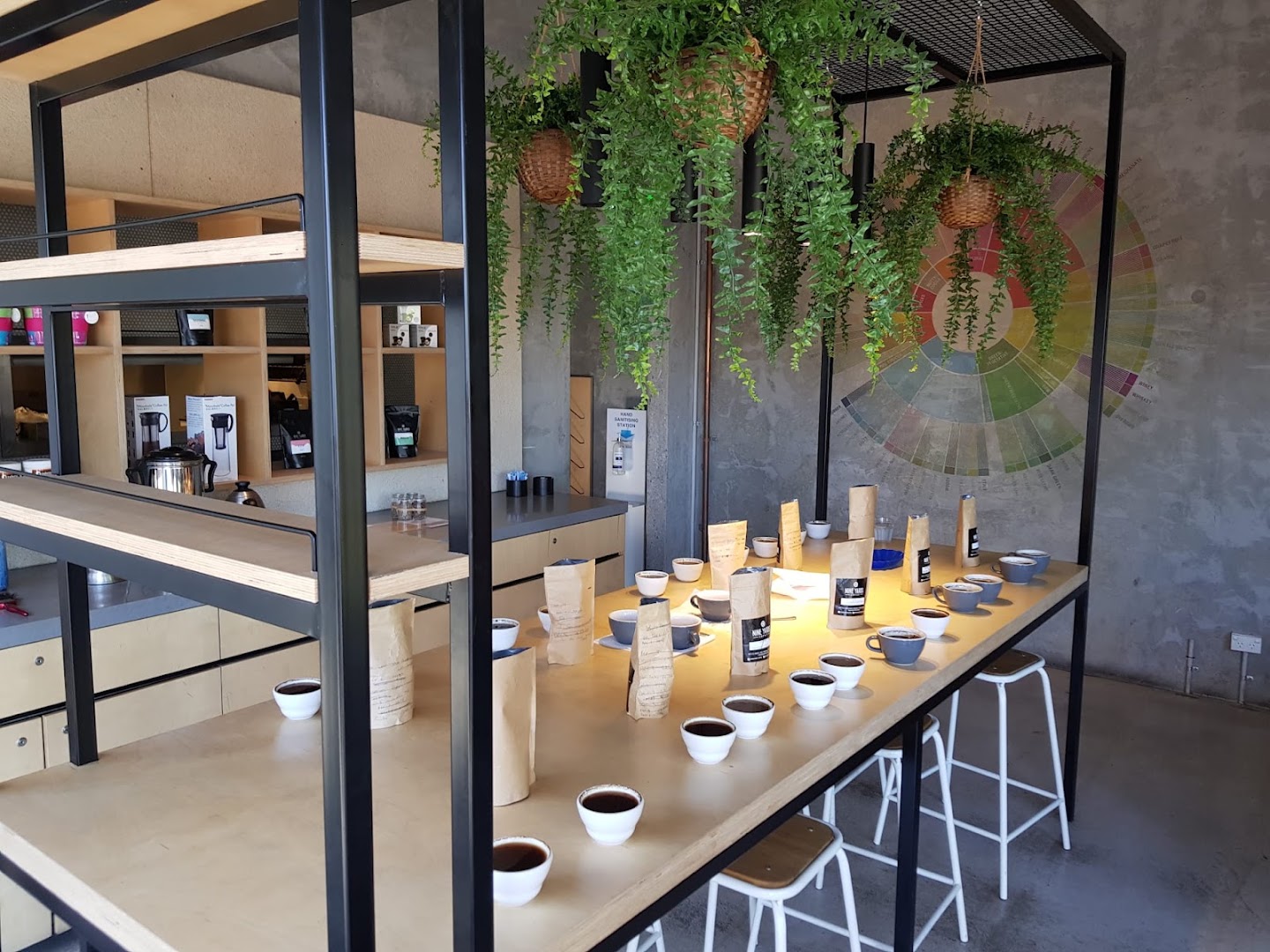 Coffee shops in Brookvale