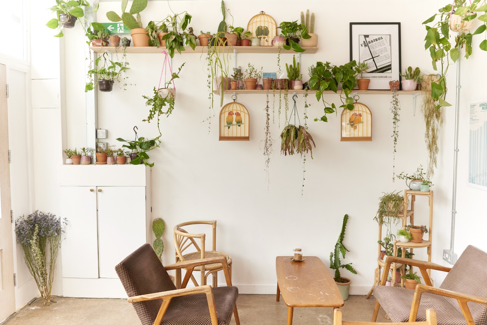 Coffee shops in Southville