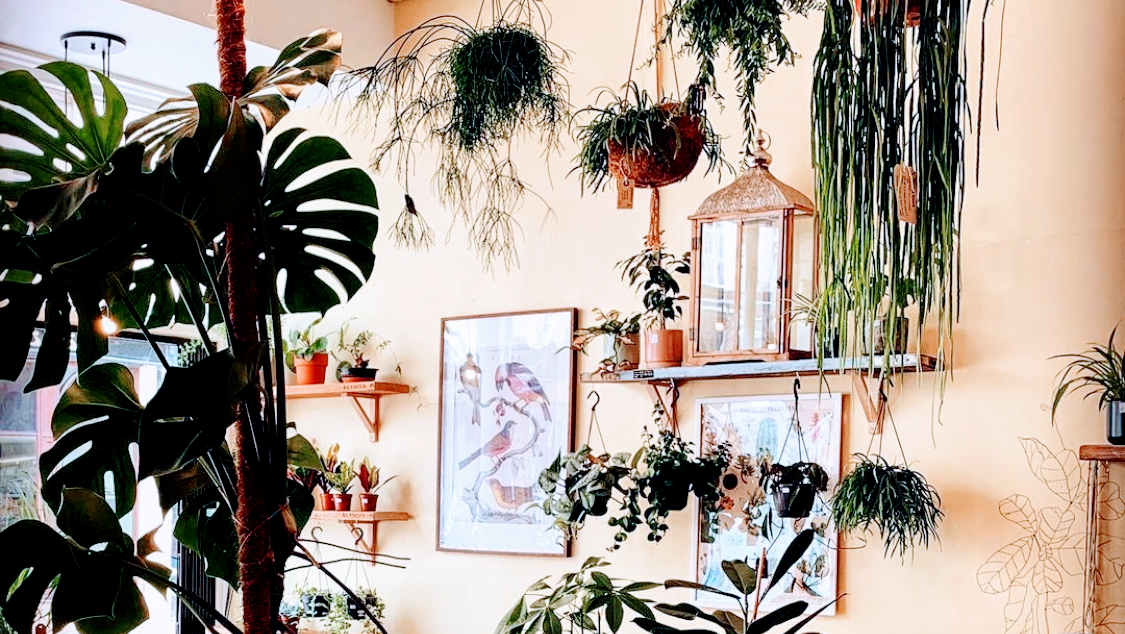 Coffee shops in Clifton