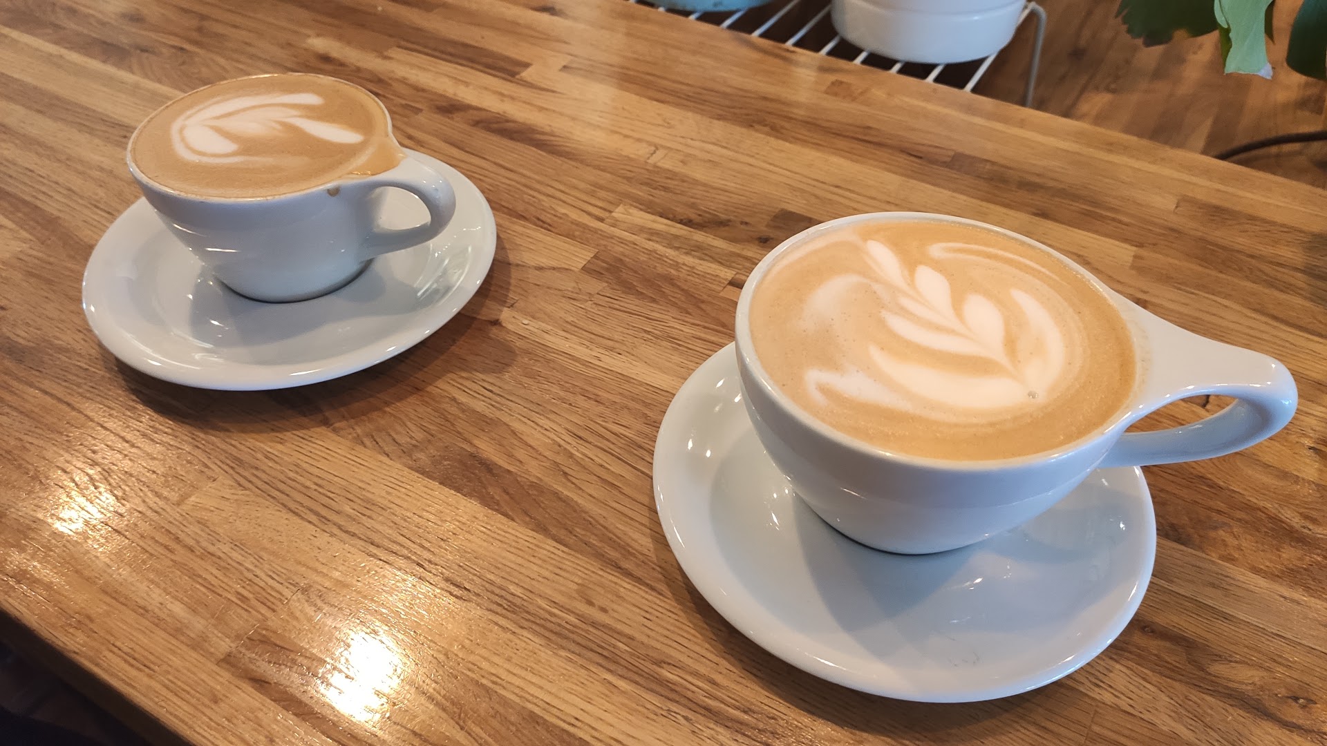 Phoenix Coffee - Specialty Coffee in Cleveland Heights, Cleveland