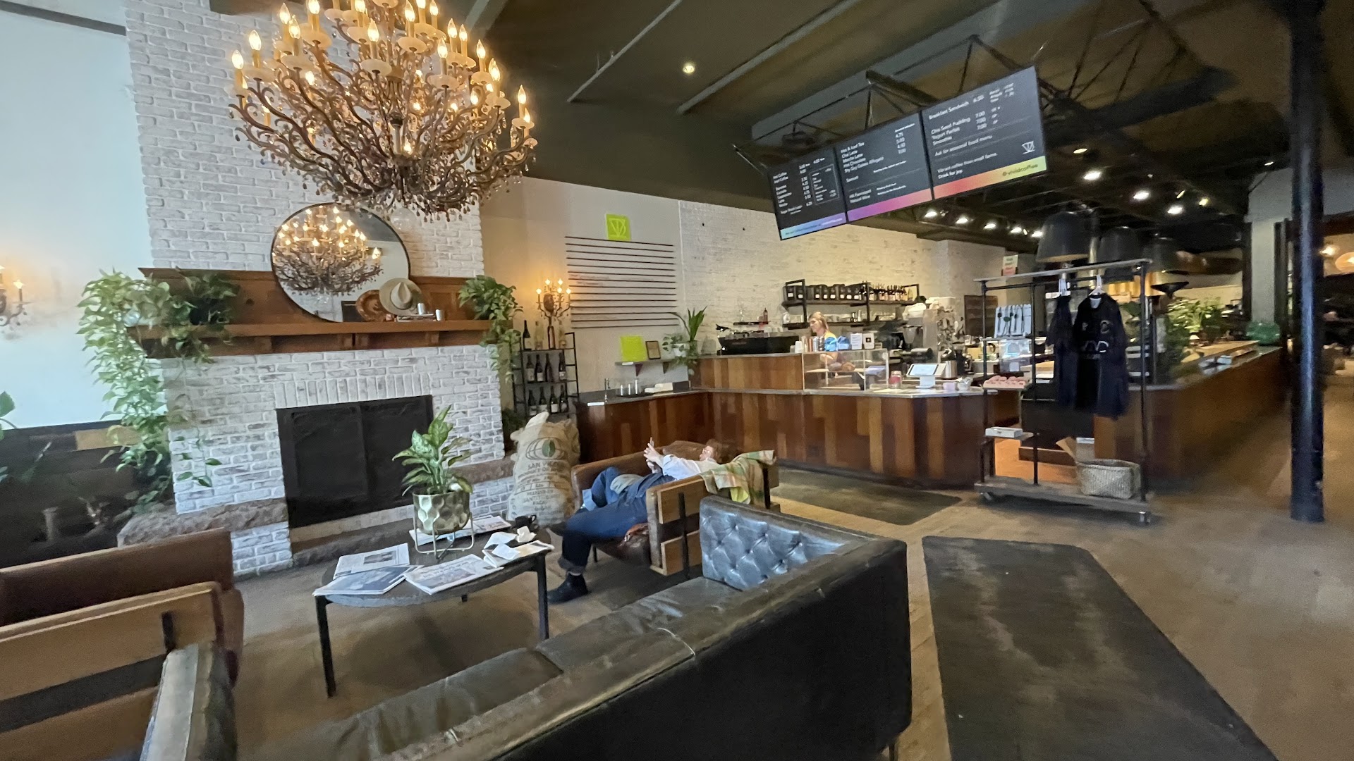 Vivid Coffee Roasters