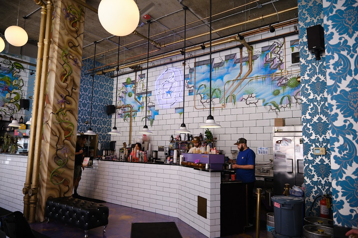 Dark Matter Coffee - Meddle Coffee Bar