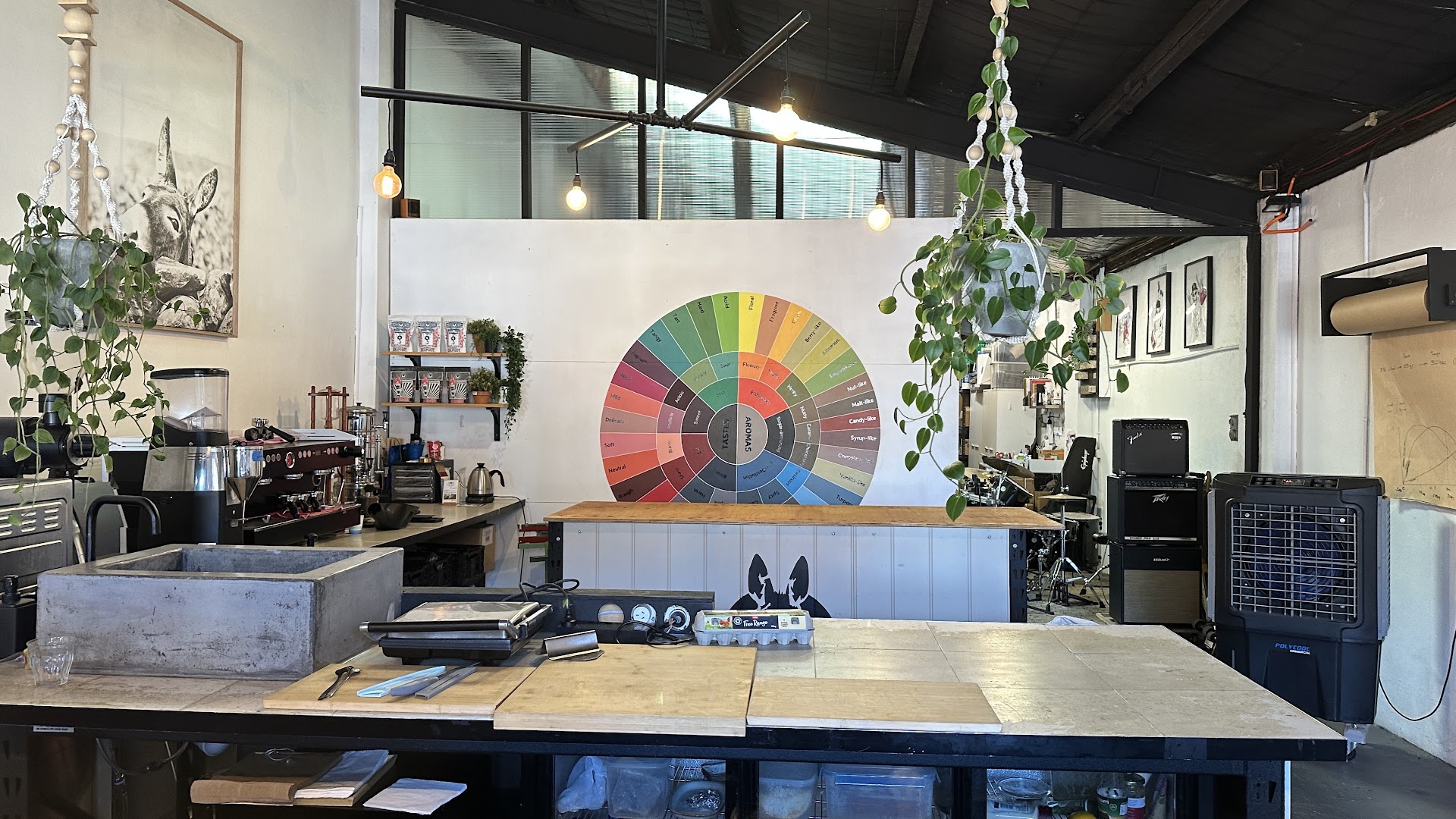 Coffee shops in Marrickville