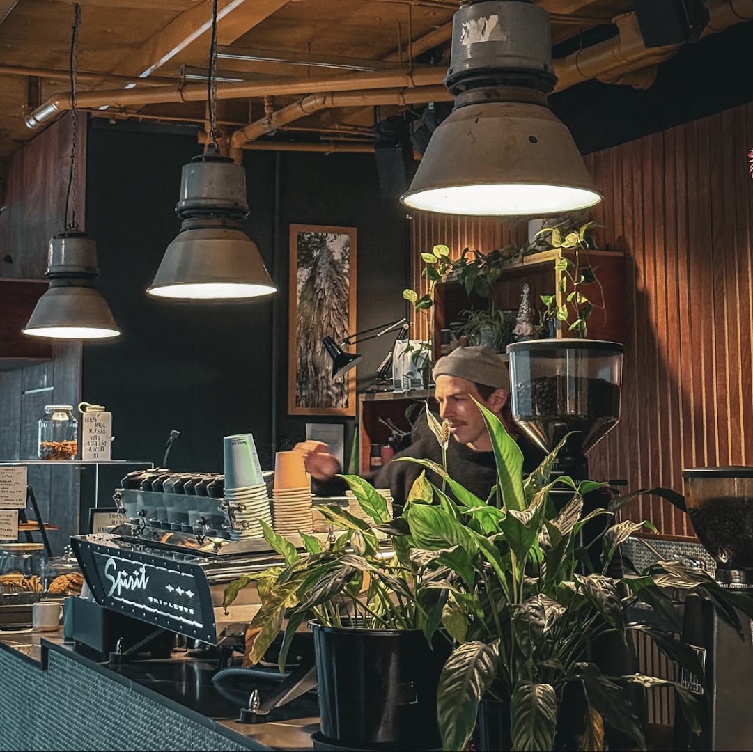 Coffee shops in Pipitea