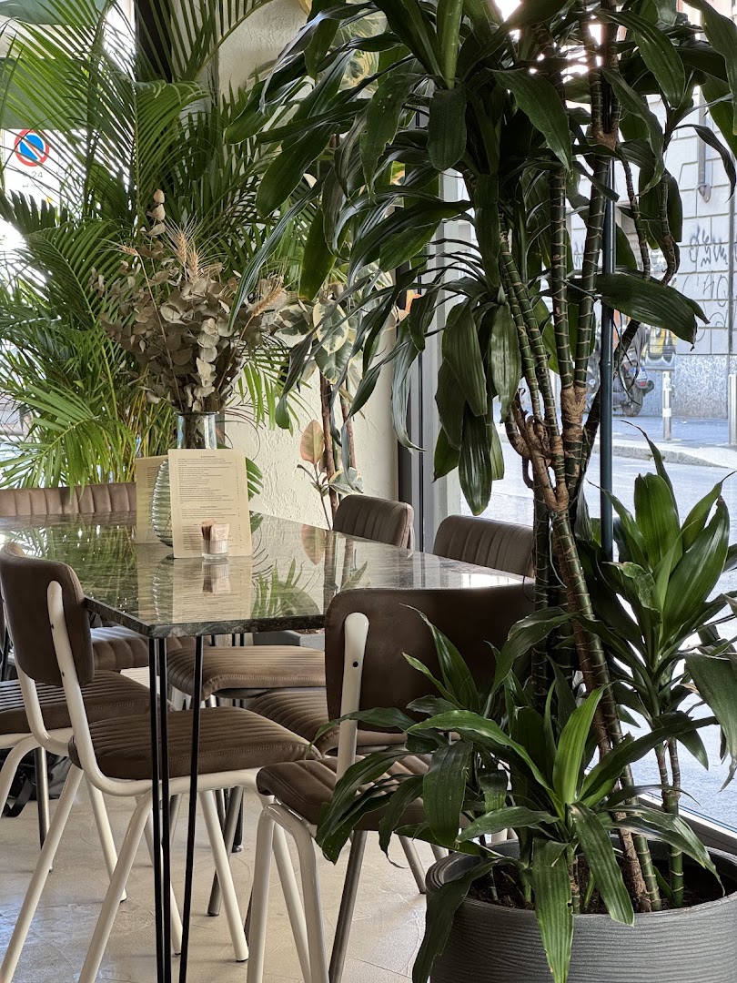 Coffee shops in Cadorna