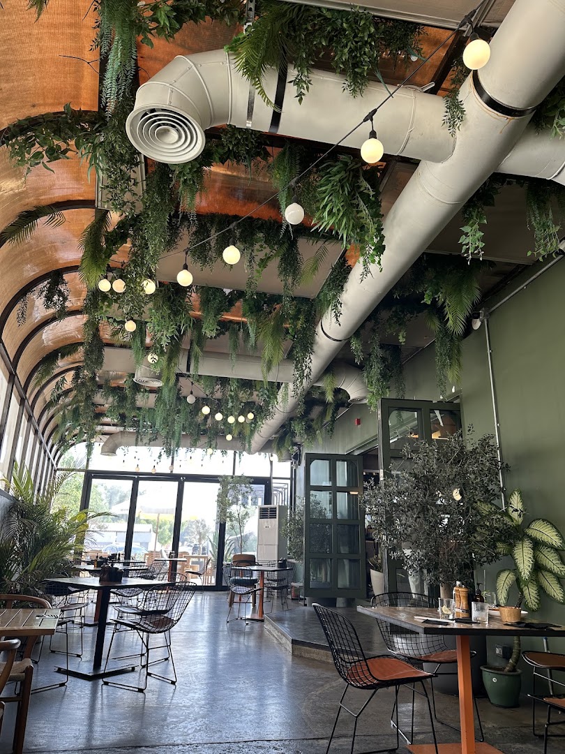 Coffee shops in Jumeirah