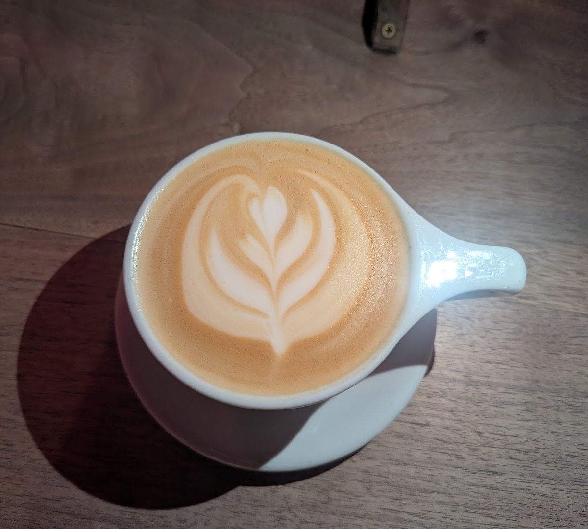 Coffee at Provider Café, specialty coffee shop in Indianapolis