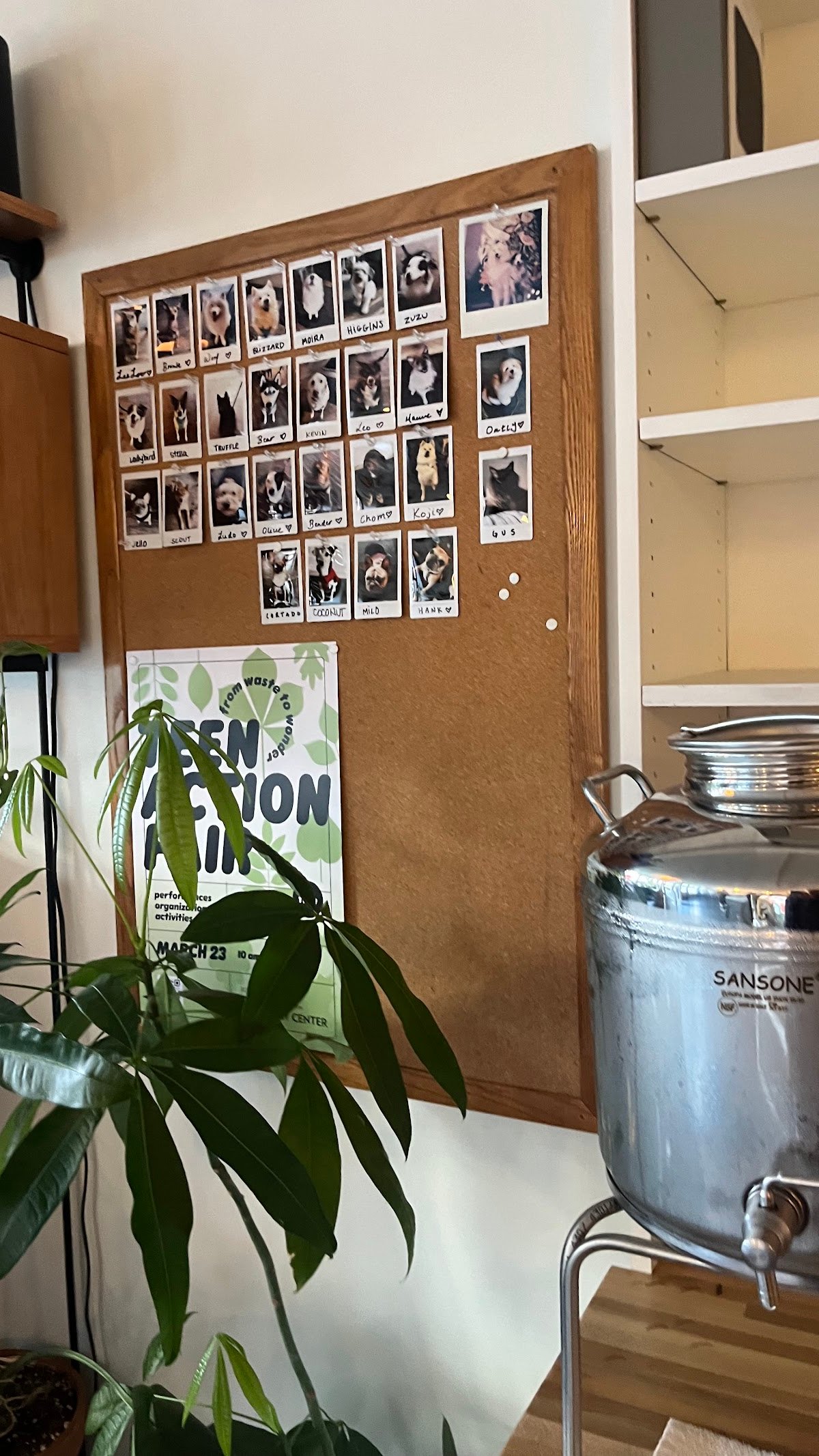 Overcast Coffee specialty coffee shop in Seattle - photo 14