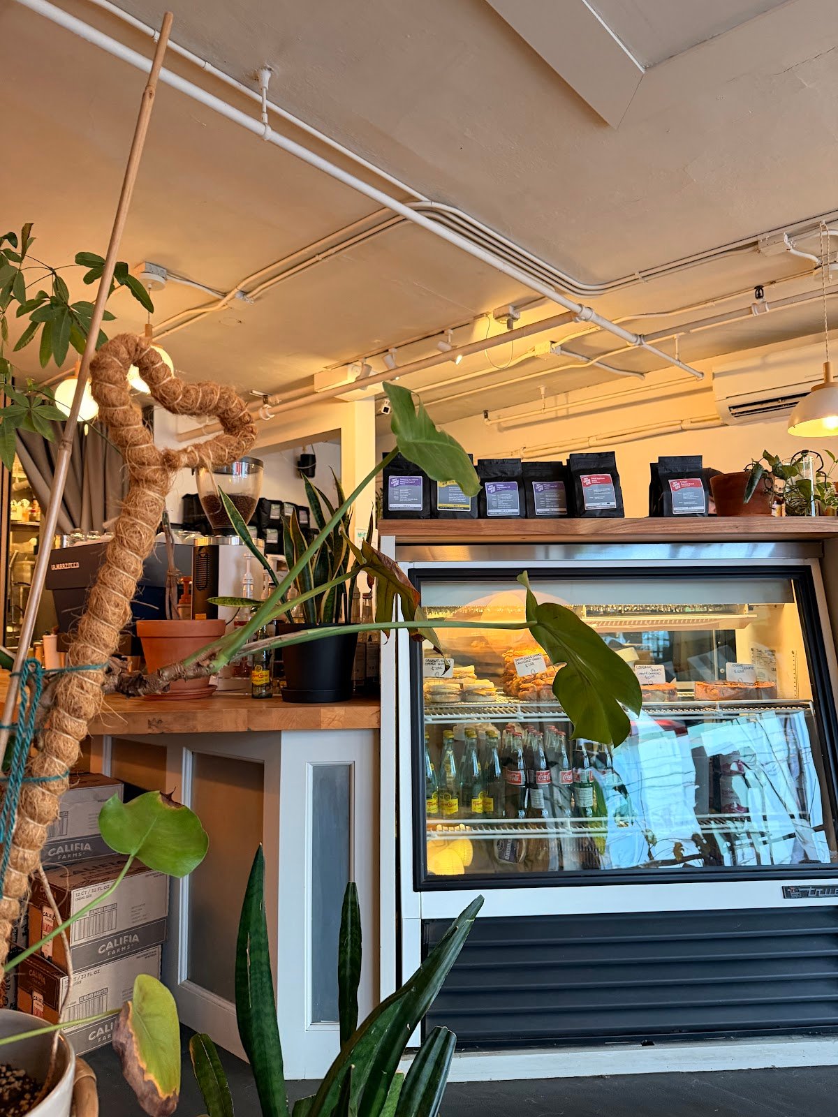 Overcast Coffee specialty coffee shop in Seattle - photo 2