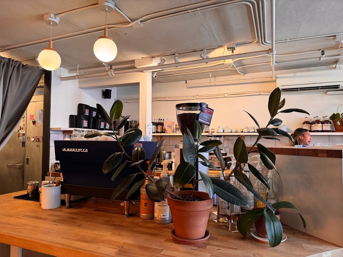 Overcast Coffee specialty coffee shop in Seattle - photo 8