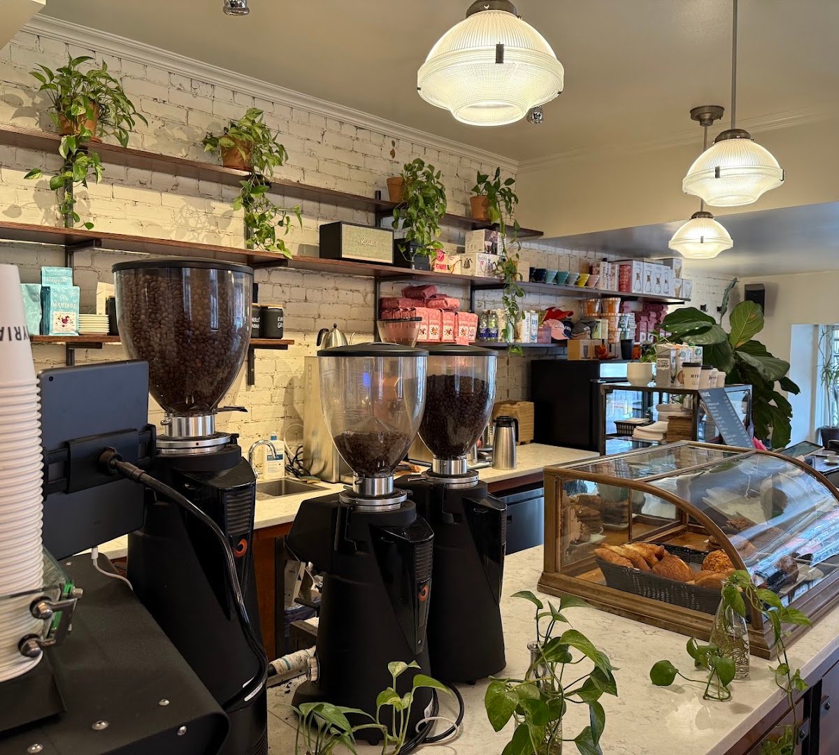 Interior of Café Myriade - Le Plateau, specialty coffee shop in Montreal