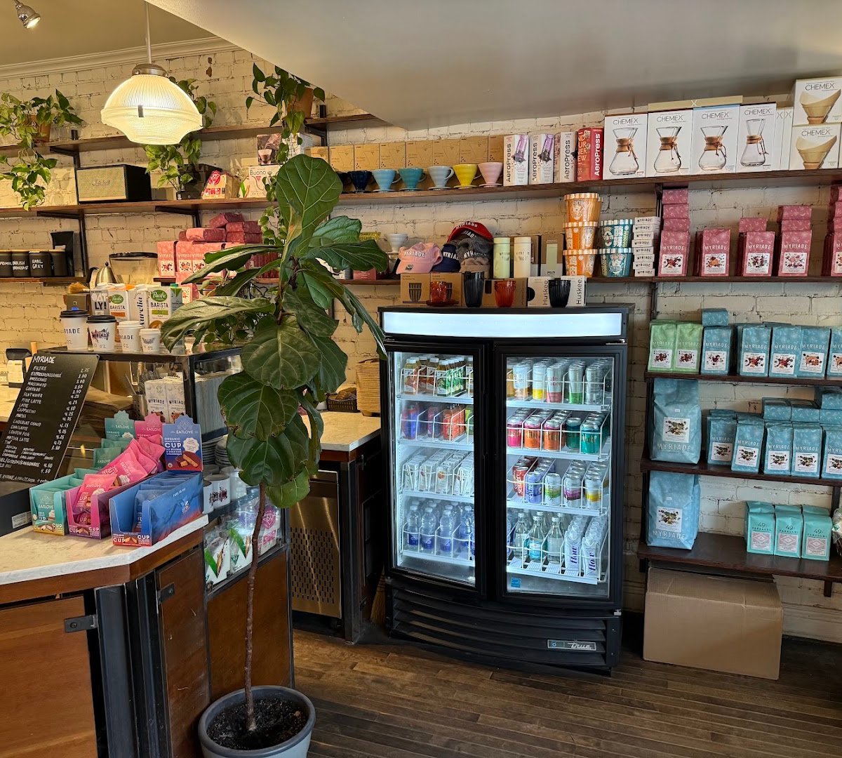 Interior of Café Myriade - Le Plateau, specialty coffee shop in Montreal