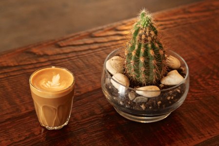 Coffee at Café Myriade - Le Plateau, specialty coffee shop in Montreal