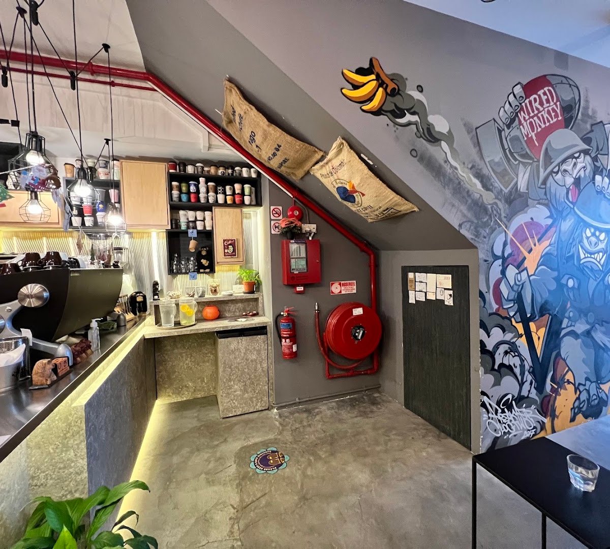 Interior of The Wired Monkey SG (The Hole), specialty coffee shop in Singapore