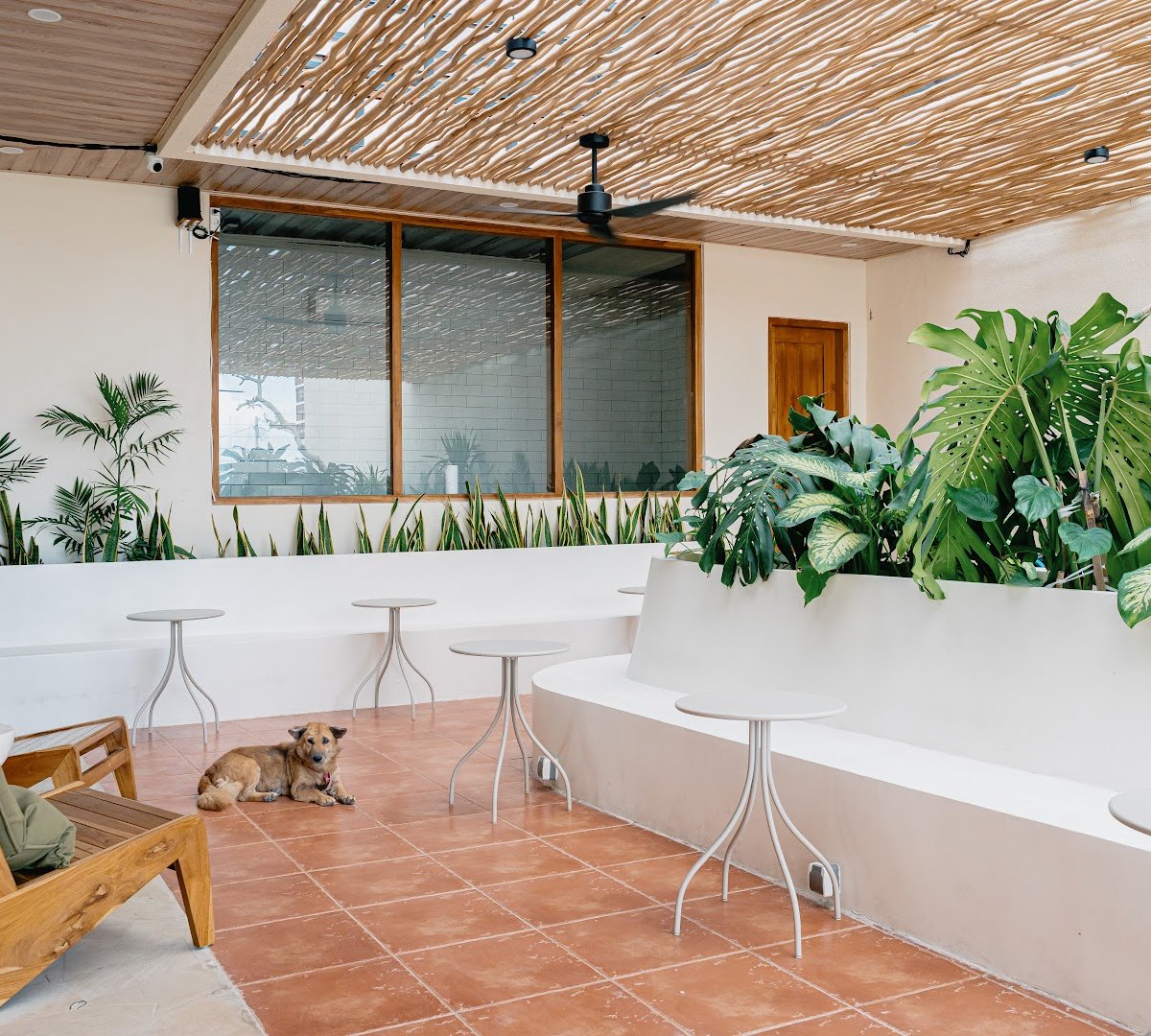 Copper Club Coffee Canggu specialty coffee shop in Bali - photo 7