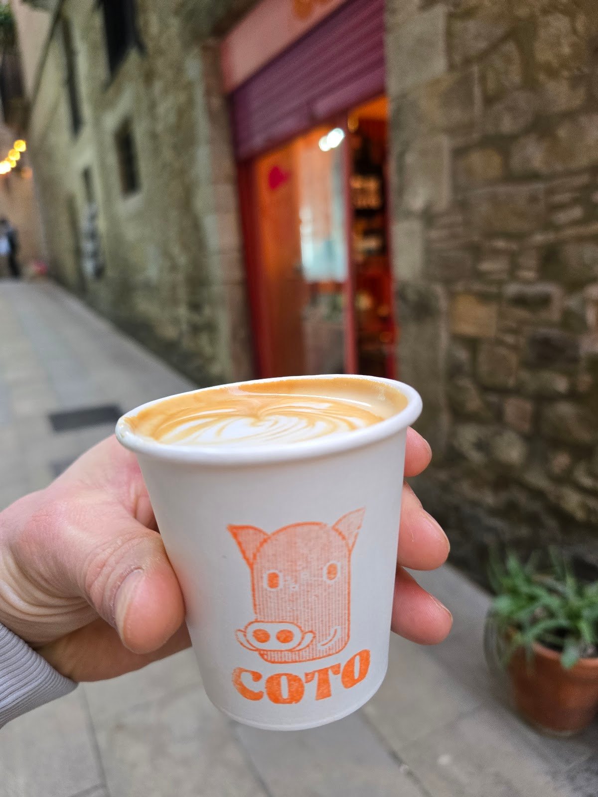 COTO COFFEE + COLMADO specialty coffee shop in Barcelona - photo 4