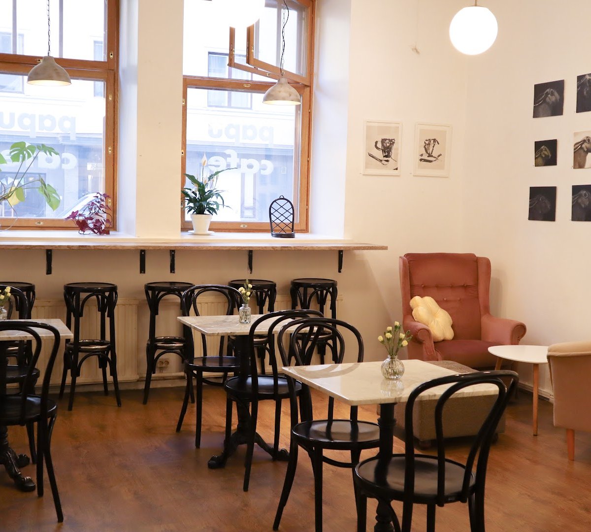 Interior of Papu Cafe, specialty coffee shop in Helsinki