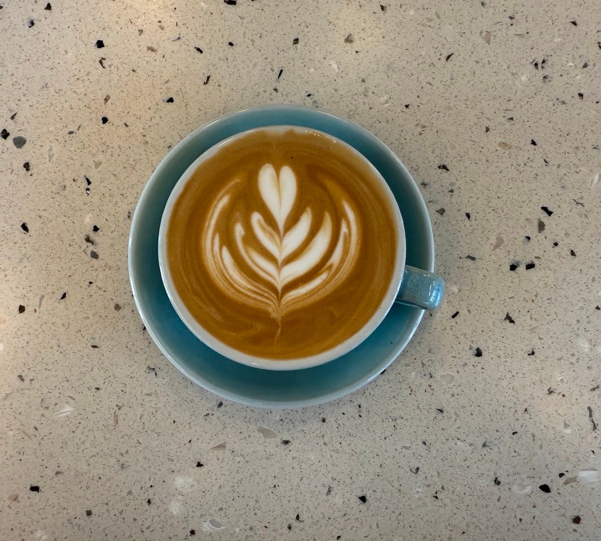 Coffee at Andytown Coffee Roasters, specialty coffee shop in San Jose