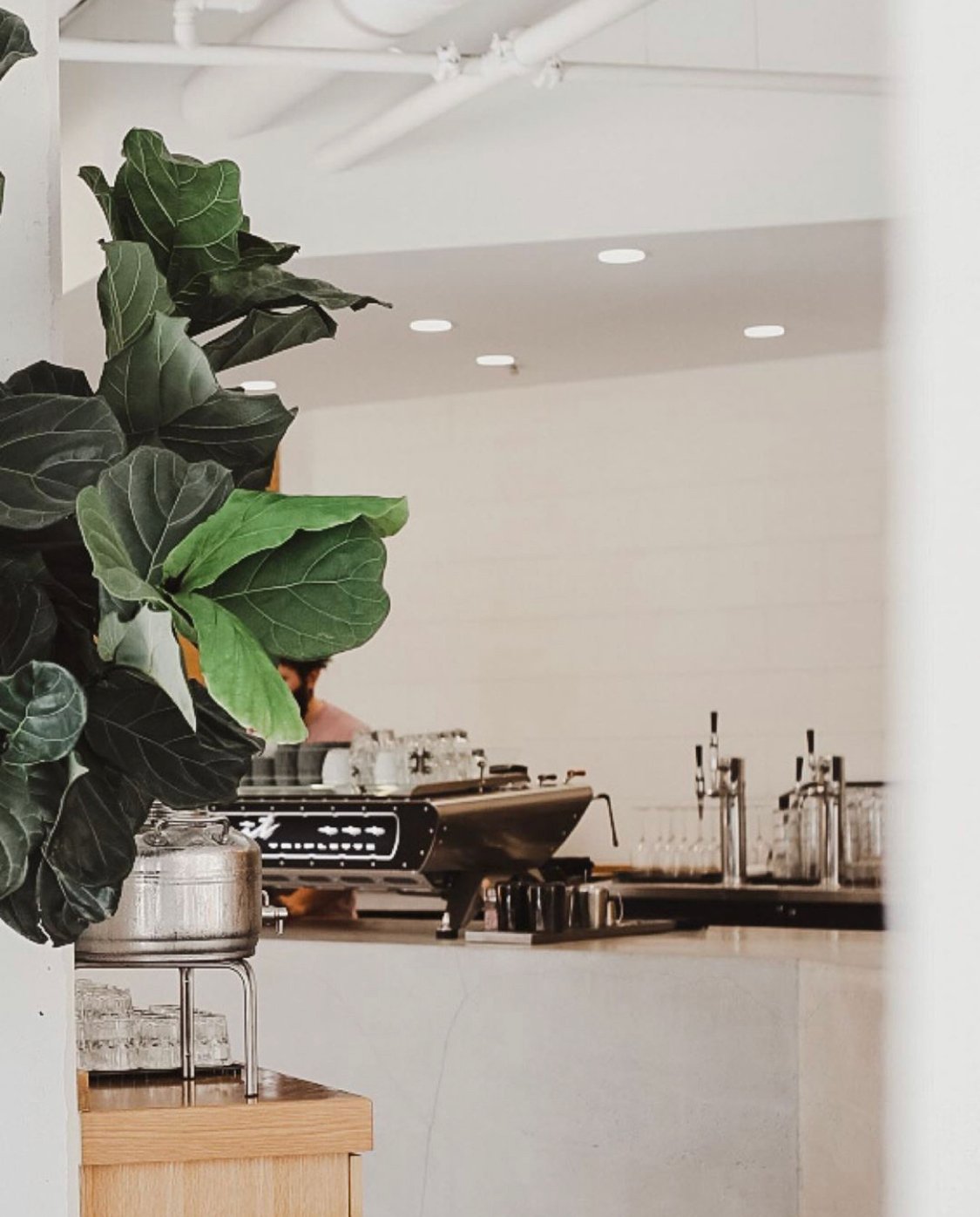 Deeply Coffee Company specialty coffee shop in Orlando - photo 2