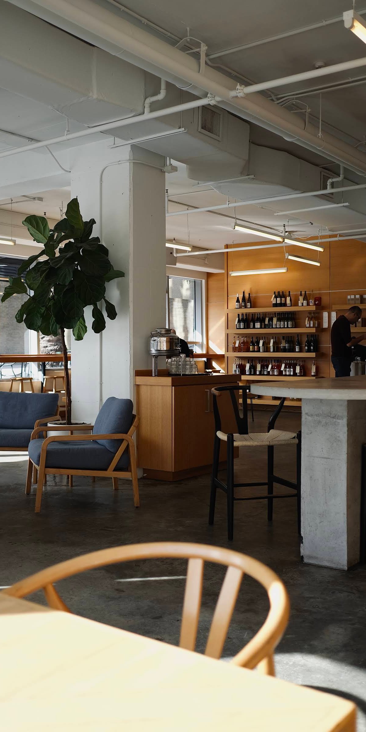 Deeply Coffee Company specialty coffee shop in Orlando - photo 7