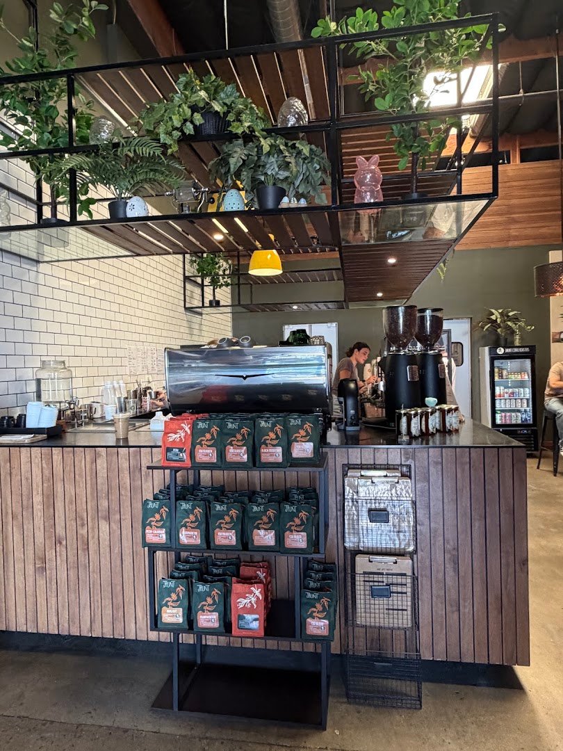 Interior of Jaunt Coffee Roasters, specialty coffee shop in San Diego