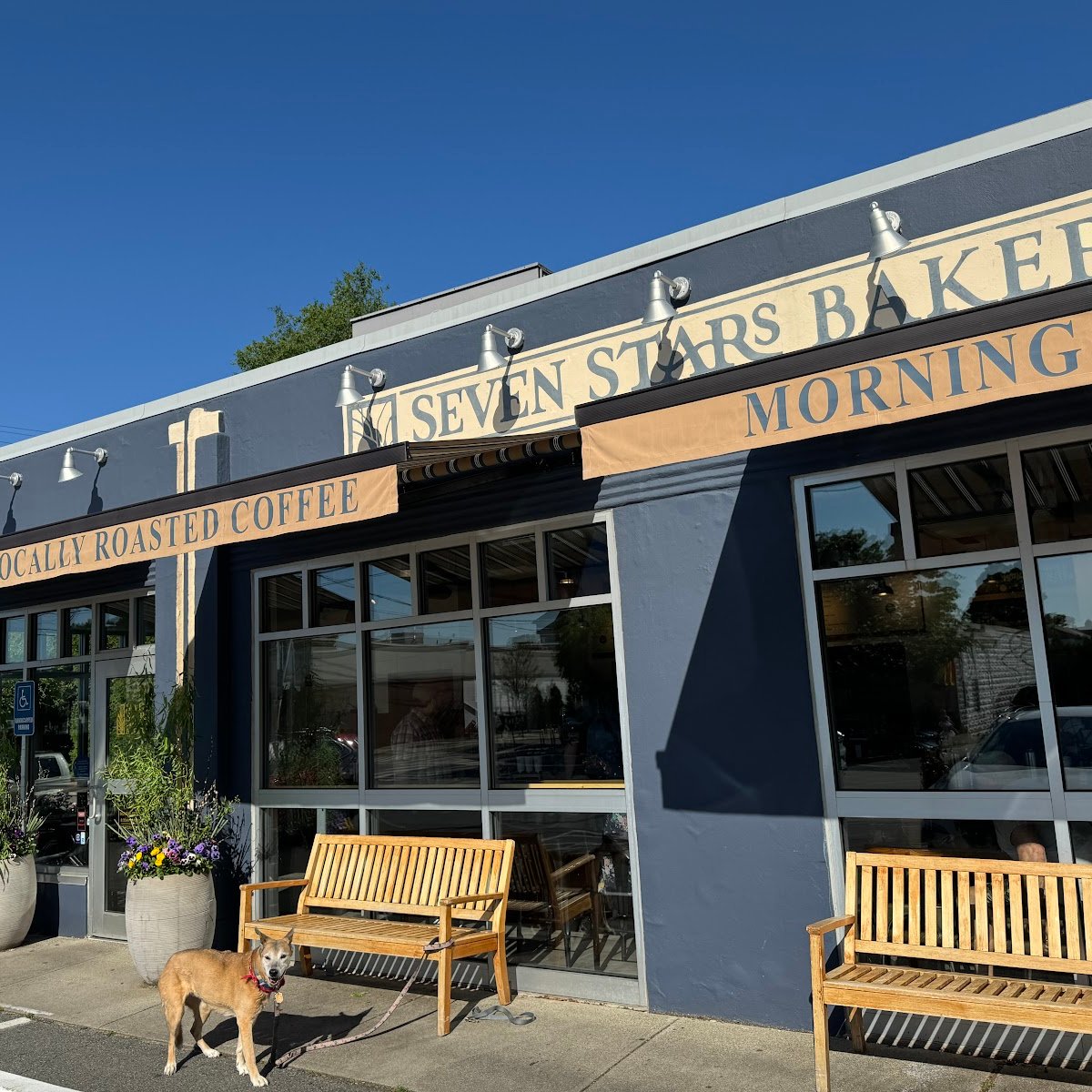 Seven Stars Bakery - Hope Street specialty coffee shop in Providence - photo 4