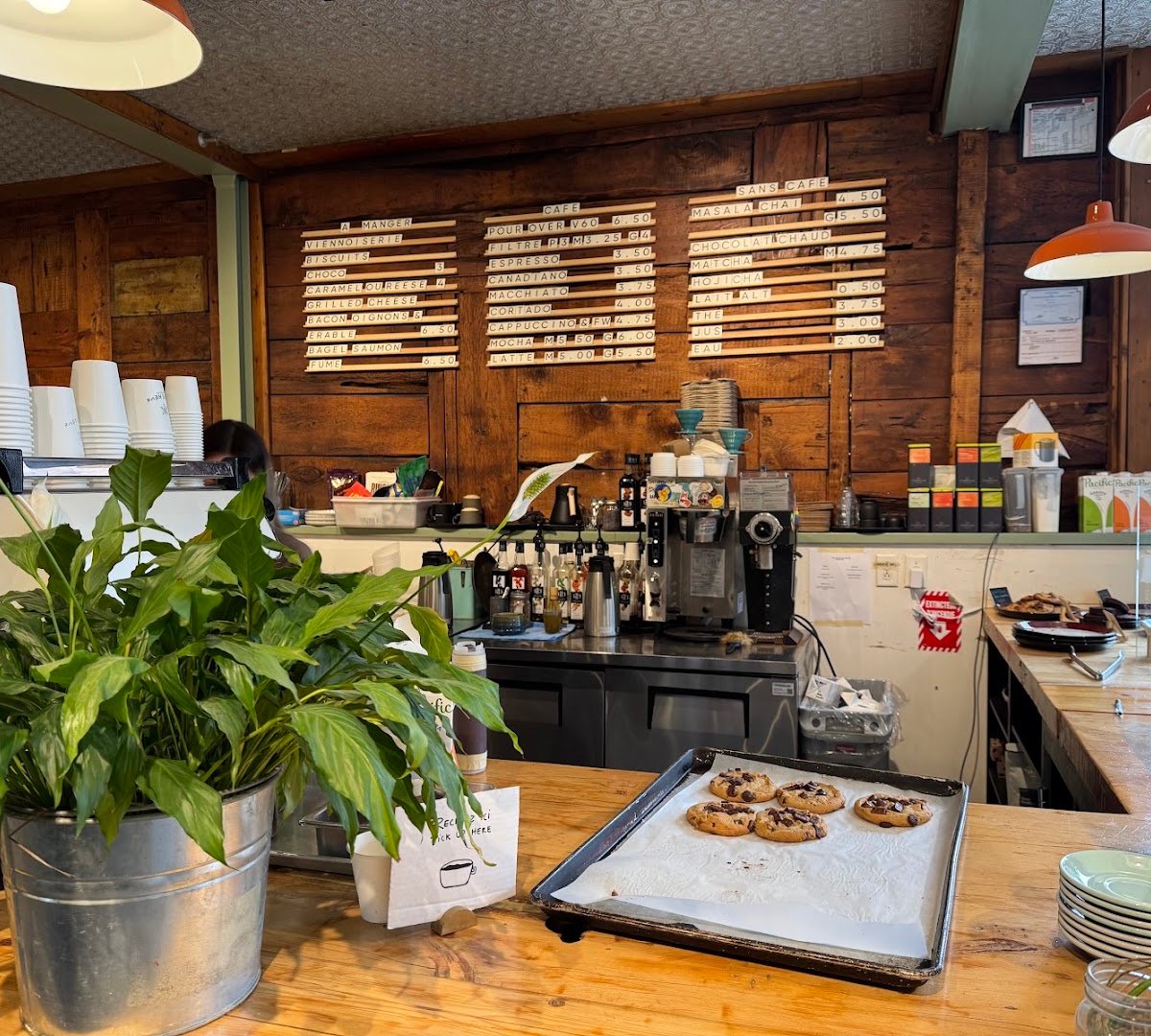 Interior of Café Névé, specialty coffee shop in Montreal