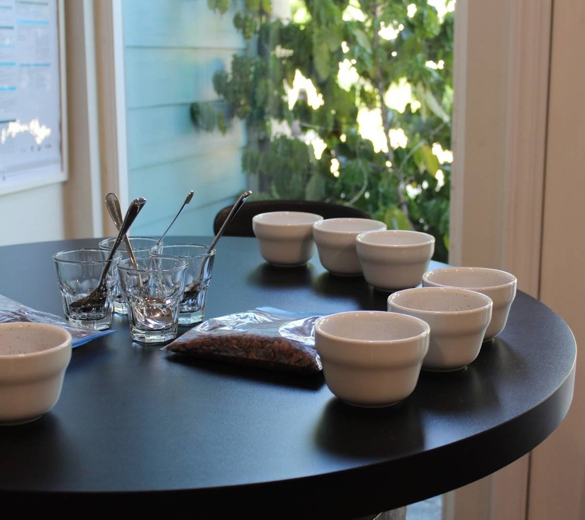 Orlando Coffee Roasters specialty coffee shop in Orlando - photo 11