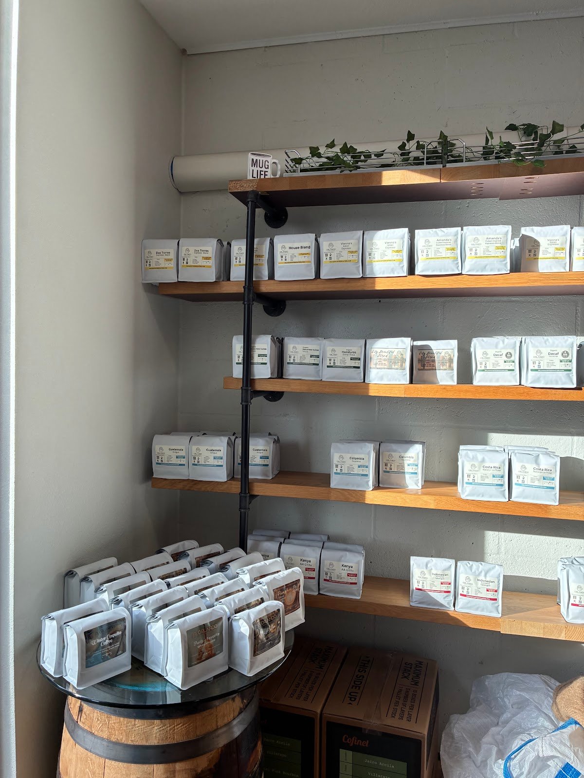 Orlando Coffee Roasters specialty coffee shop in Orlando - photo 7