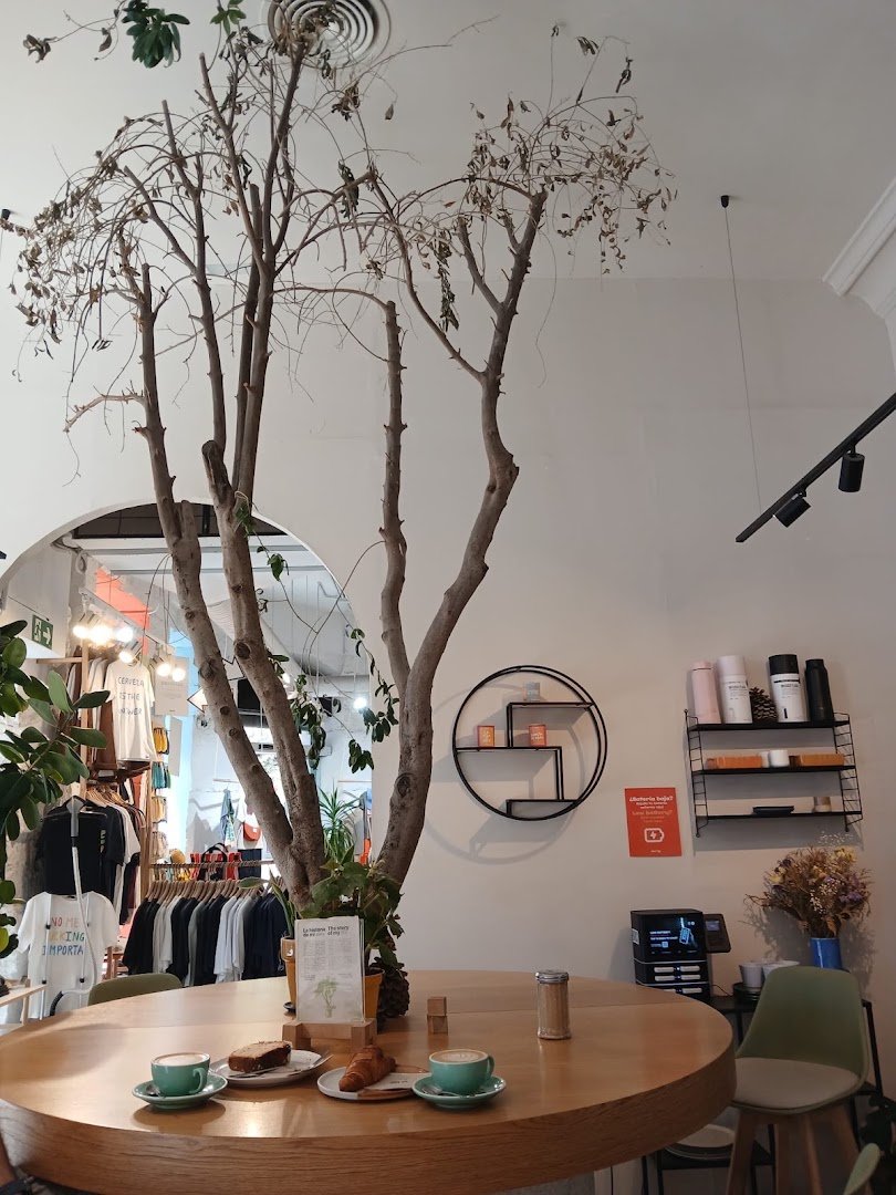 BRUTAL specialty coffee shop in Madrid - photo 8