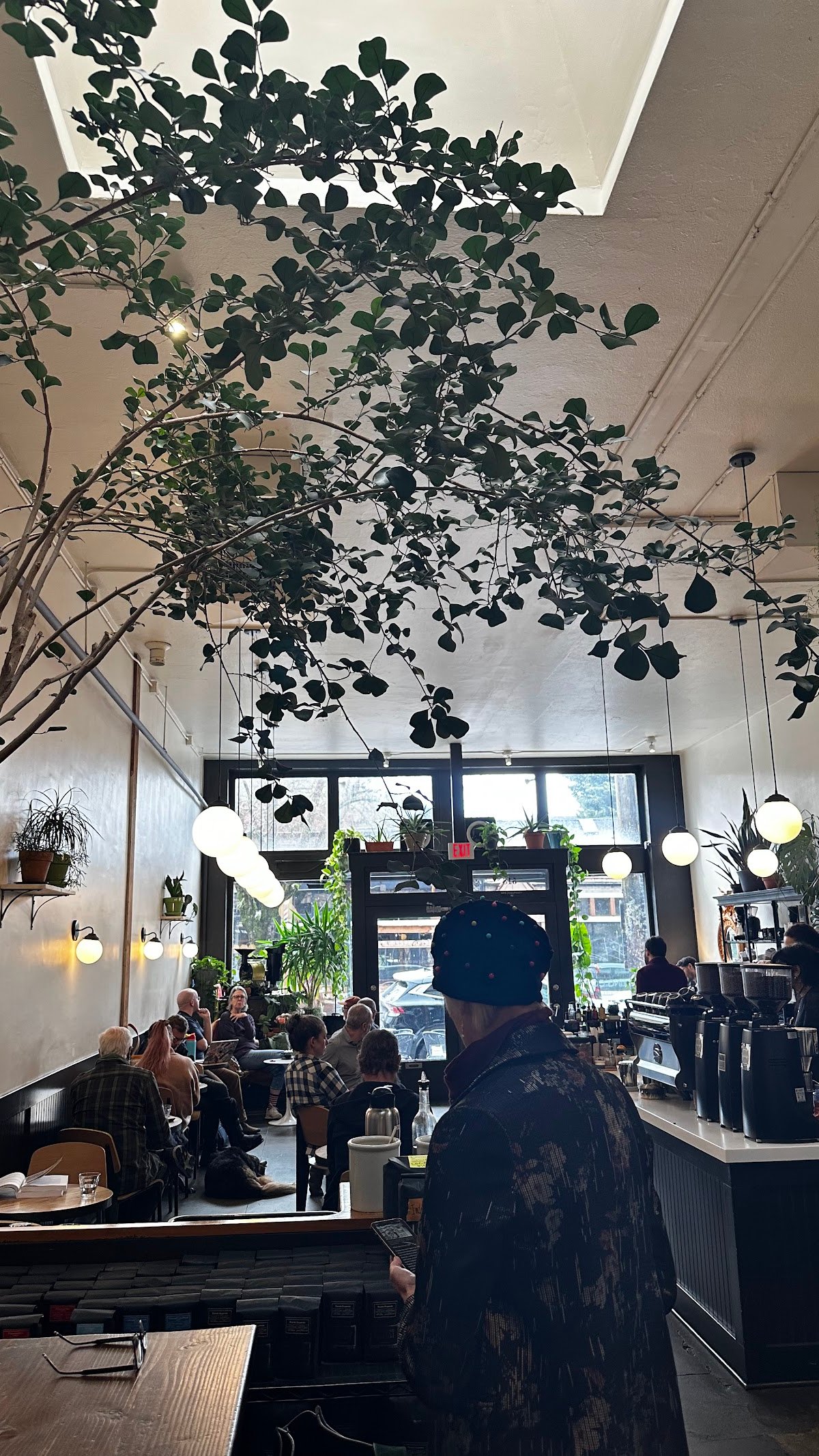 Sterling Coffee Roasters specialty coffee shop in Portland - photo 13