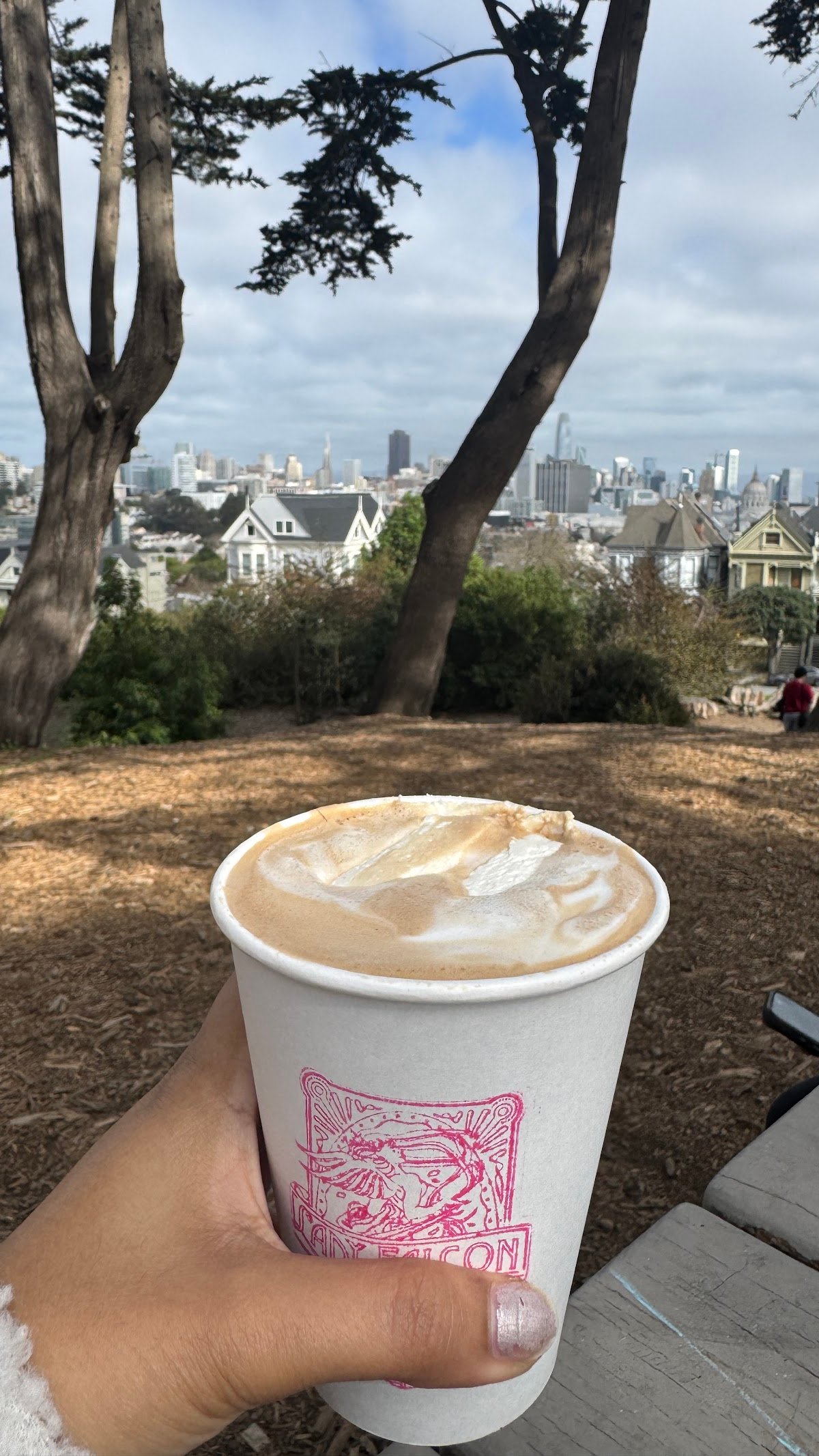 Lady Falcon Coffee Club specialty coffee shop in San Francisco - photo 11