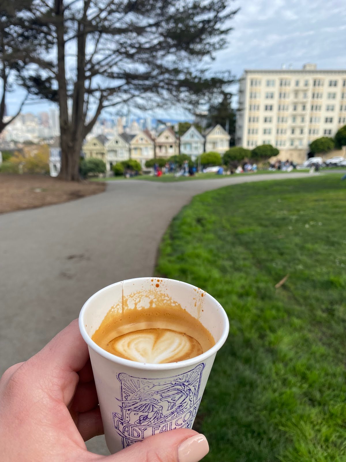 Lady Falcon Coffee Club specialty coffee shop in San Francisco - photo 3