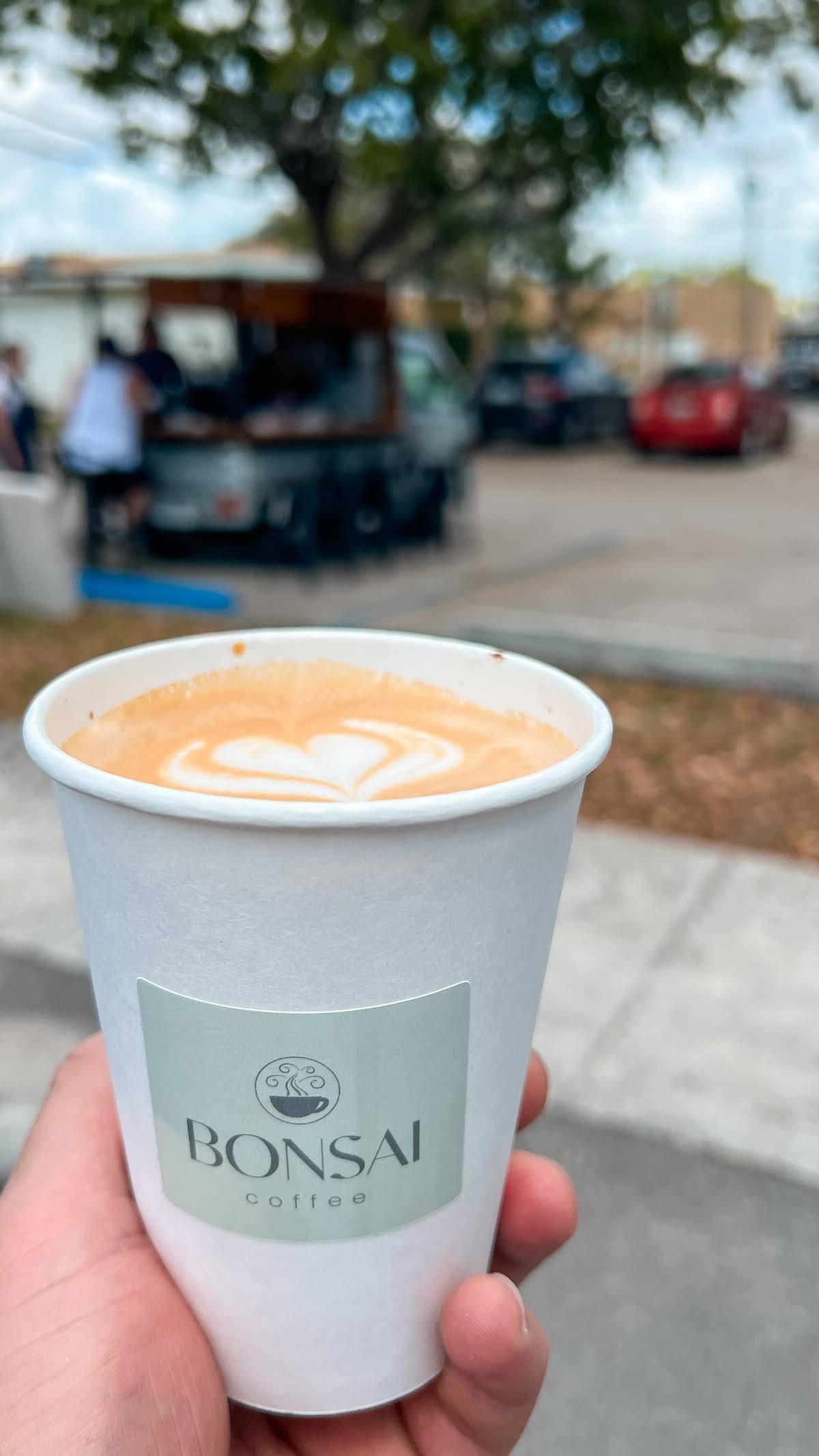 Bonsai Coffee specialty coffee shop in Miami - photo 9