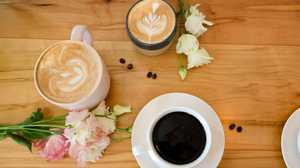 Plant Bar - Coffee and Tea specialty coffee shop in Asheville - photo 2