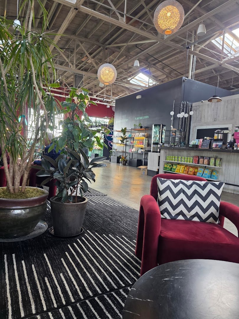 Plant Bar - Coffee and Tea specialty coffee shop in Asheville - photo 5