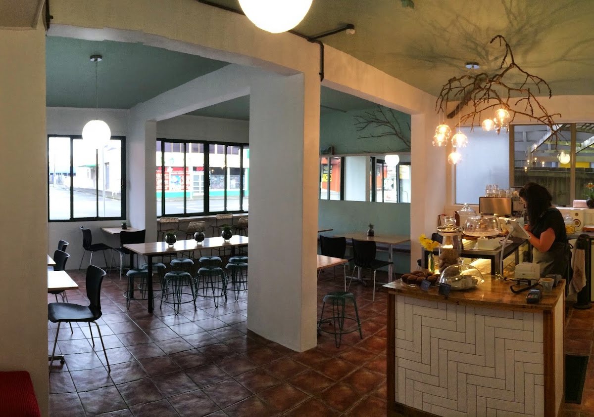 Interior of Forage, specialty coffee shop in Auckland