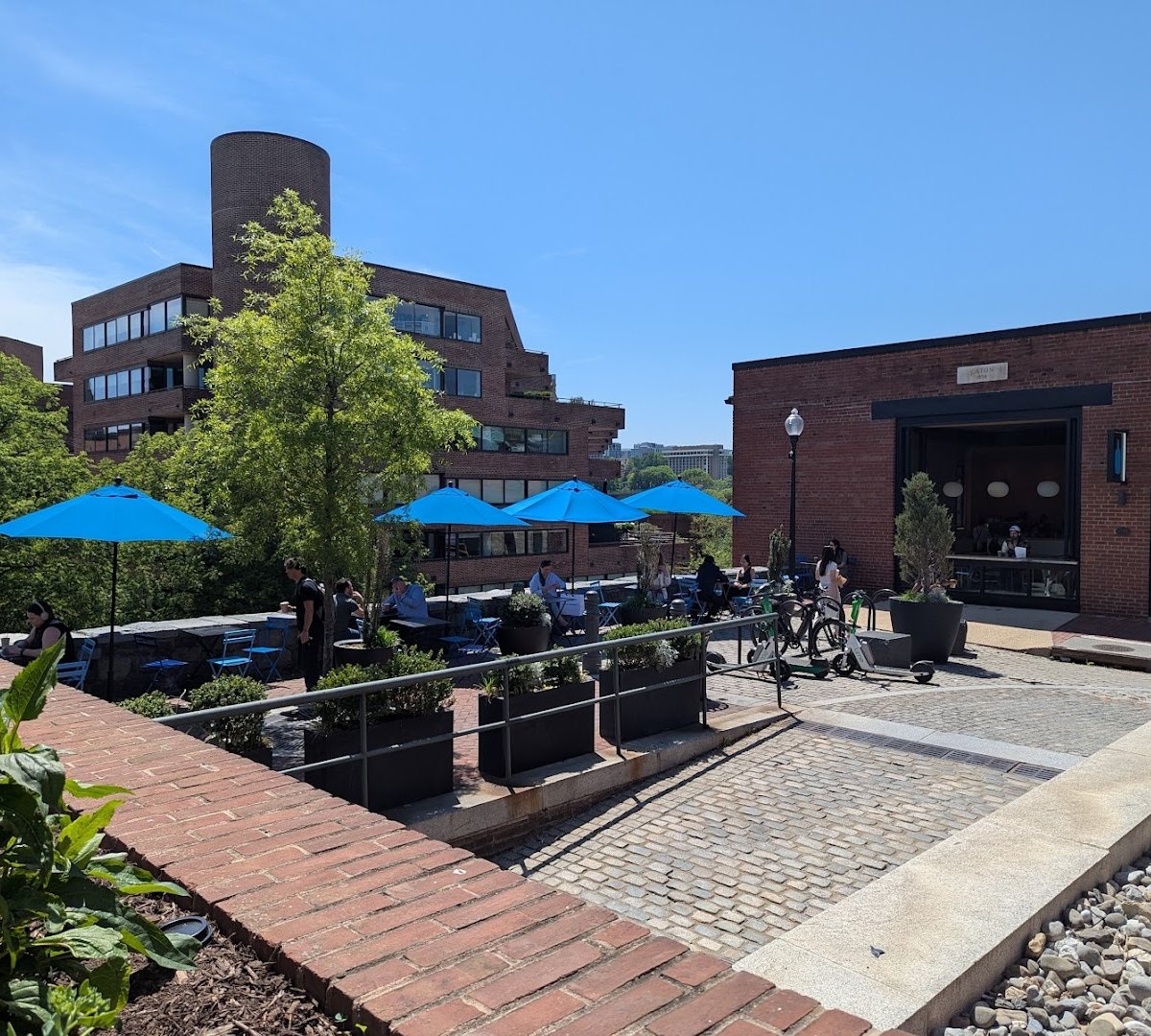 Blue Bottle Coffee specialty coffee shop in Washington, D.C. - photo 12