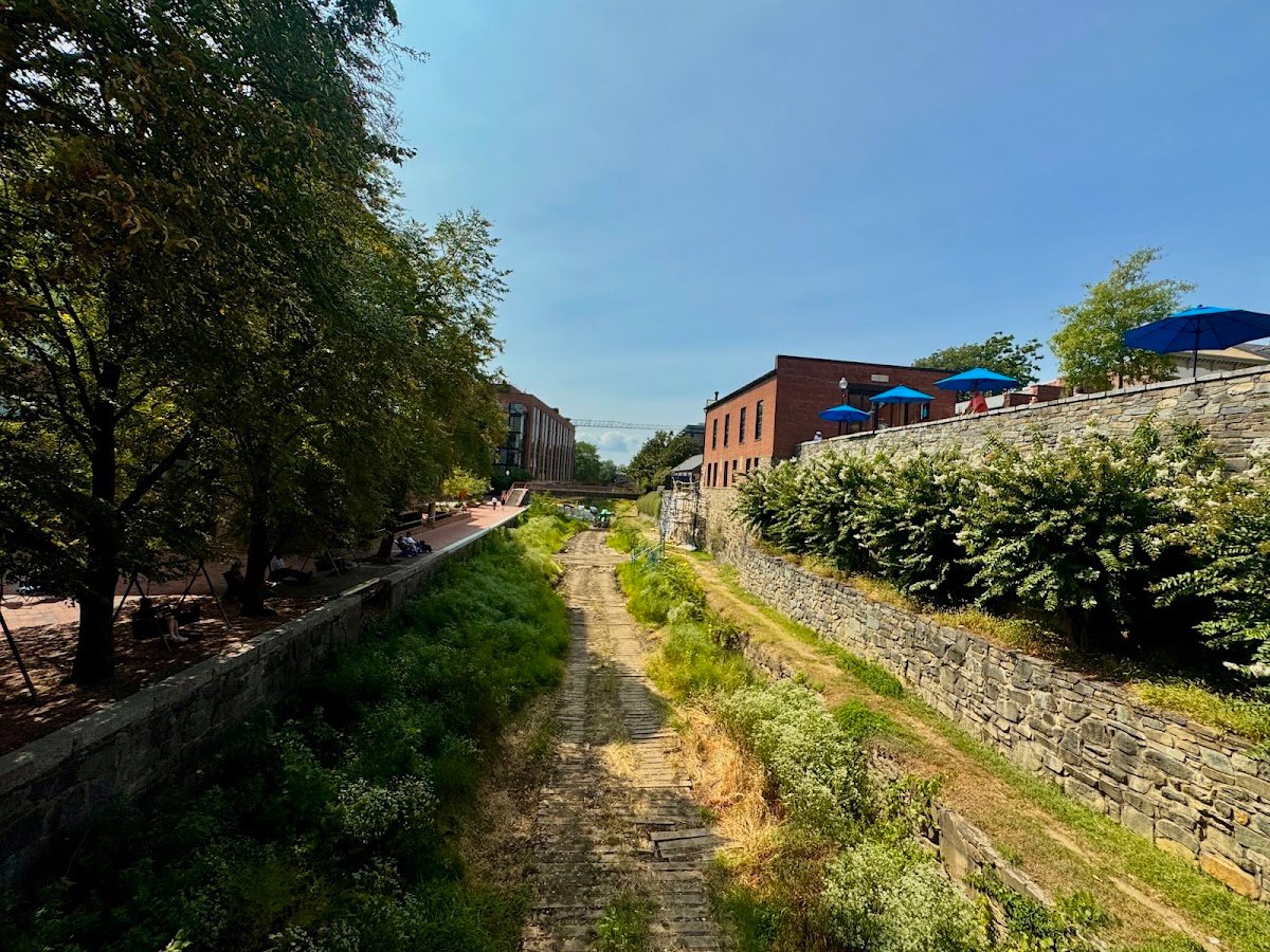 Blue Bottle Coffee specialty coffee shop in Washington, D.C. - photo 6
