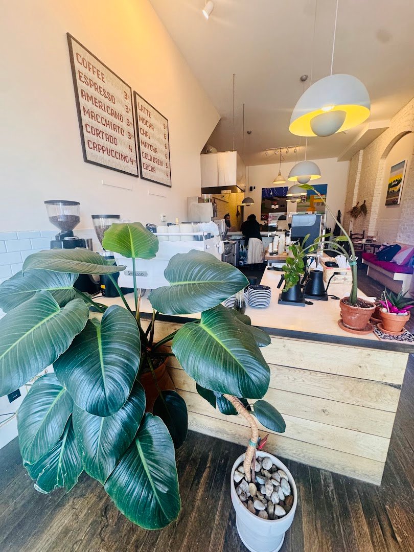 Alba specialty coffee shop in Detroit - photo 4