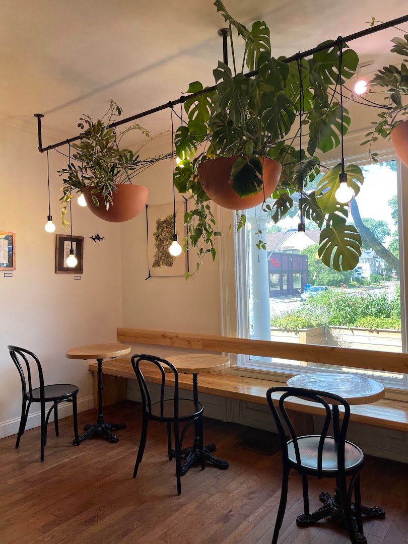 Interior of Hydra Coffeehouse, specialty coffee shop in Rochester
