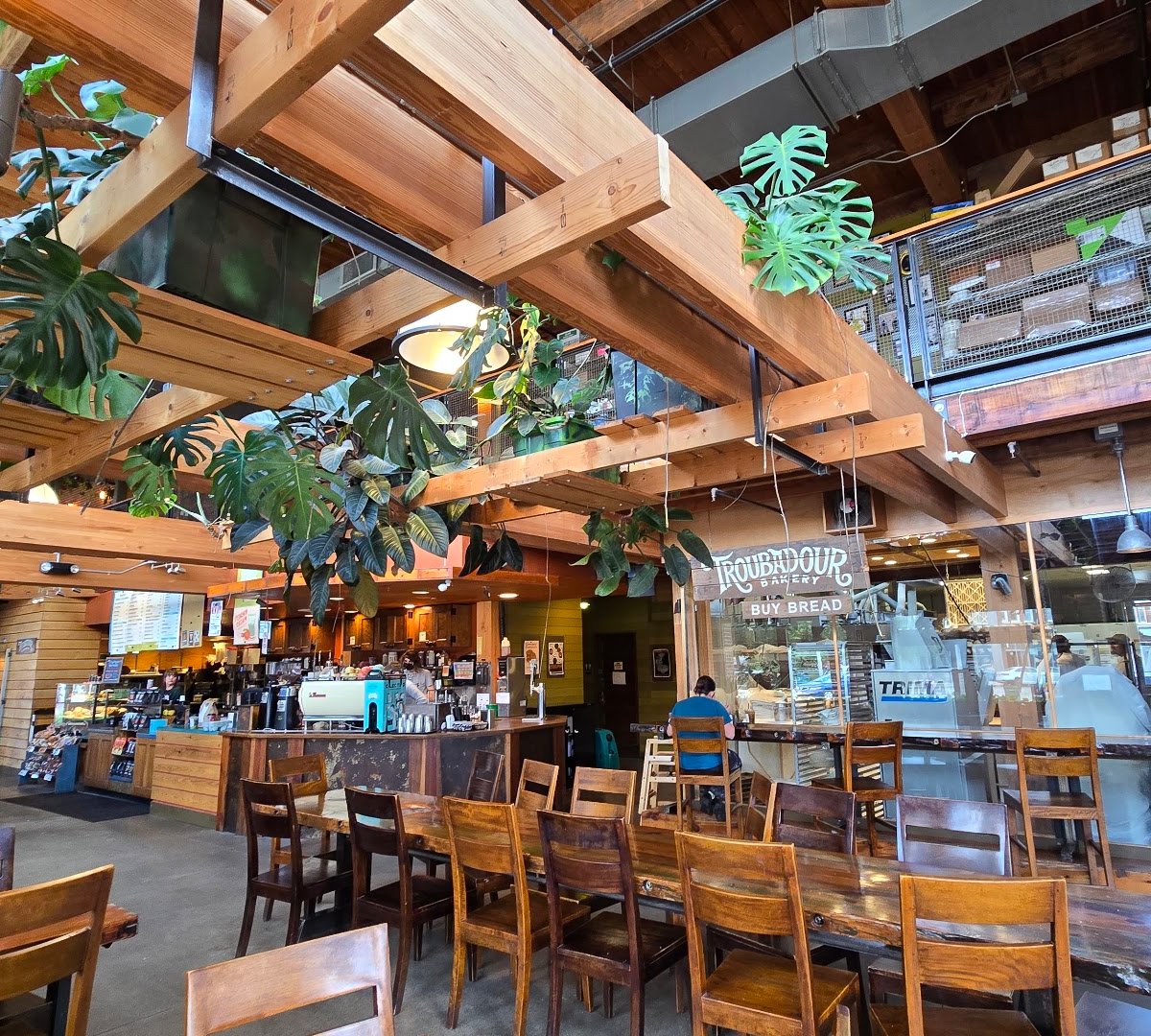 Interior of Colectivo Coffee Bay View, specialty coffee shop in Milwaukee