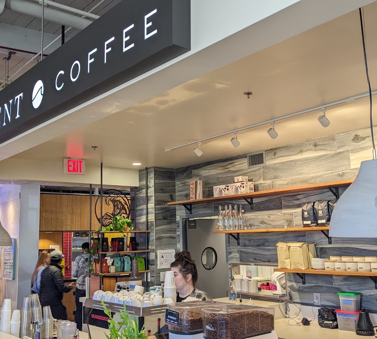 Interior of Undercurrent Coffee, specialty coffee shop in Charlotte