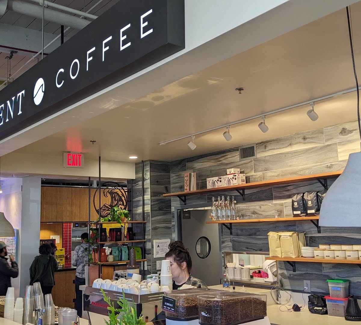 Interior of Undercurrent Coffee, specialty coffee shop in Charlotte
