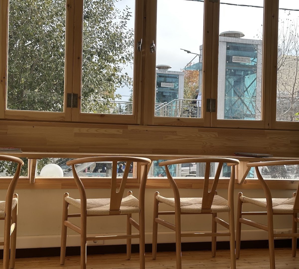 Interior of Zudi Coffee Co, specialty coffee shop in Athens