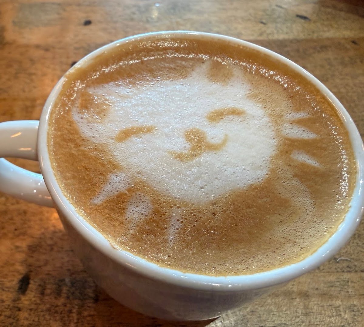 Oromo Cafe Lincoln Square specialty coffee shop in Chicago - photo 6
