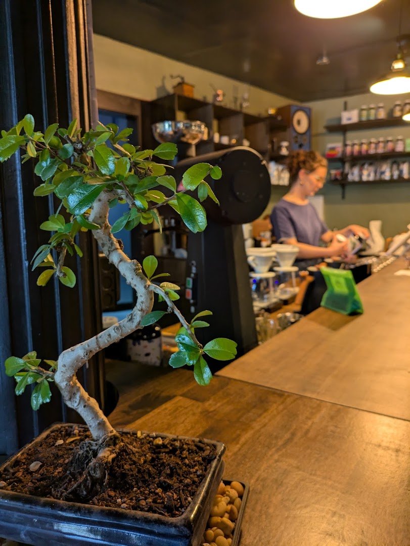 Interior of NoFi slow bar, specialty coffee shop in San Antonio