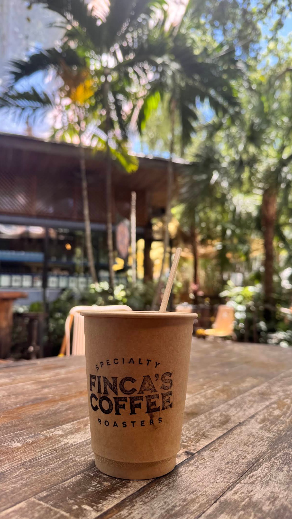 Fincas Coffee specialty coffee shop in Miami - photo 8